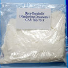 Rohes Pulver 360-70-3 Decanoate Deca Durabolin Nandrolone Pulver 99% anaboler Steroide