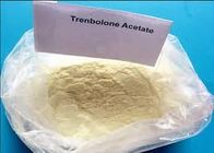 Steroid-Hormon CAS 10161-34-9 Pulver Trenbolone-Azetat Finaplix H Revalor H Ananbolic