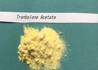 Steroid-Hormon CAS 10161-34-9 Pulver Trenbolone-Azetat Finaplix H Revalor H Ananbolic