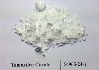 99,5% pulverisieren Reinheits-Steroide Tamoxifen-Zitrat/rohes Pulver CAS 54965-24-1 Nolvadex