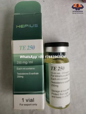 Injizierbares Testosteron Enanthate 250mg/ml 315-37-7 der anabolen Steroide